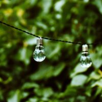 lightbulb, energy, nature