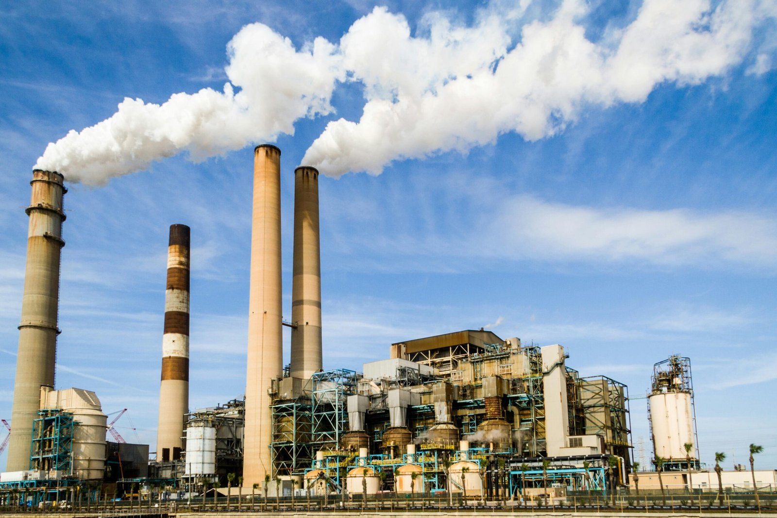 Carbon Footprint: Practical Strategies for Small Businesses